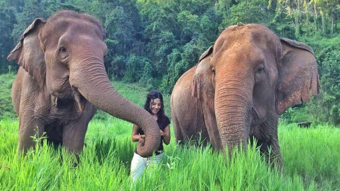 Diana Muñoz ha logrado gracias a su labor que varios elefantes que vivían en cautiverio y que eran sometidos a torturas, hayan sido liberados en santuarios naturales de Tailandia. En la foto aparece con Nong Pop Más Pong y Mae Pong junto a ella en el Elephant Nature Park.