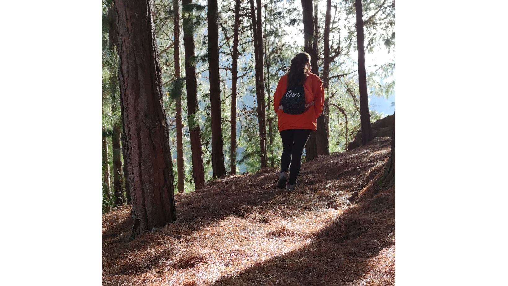 Reabren uno de los senderos más populares de los cerros orientales de Bogotá: así es posible agendar la visita