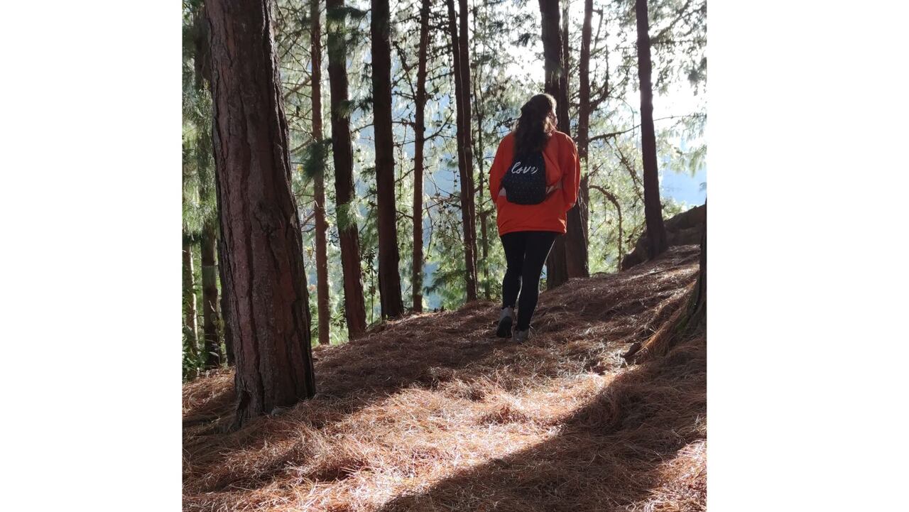 Reabren uno de los senderos más populares de los cerros orientales de Bogotá: así es posible agendar la visita