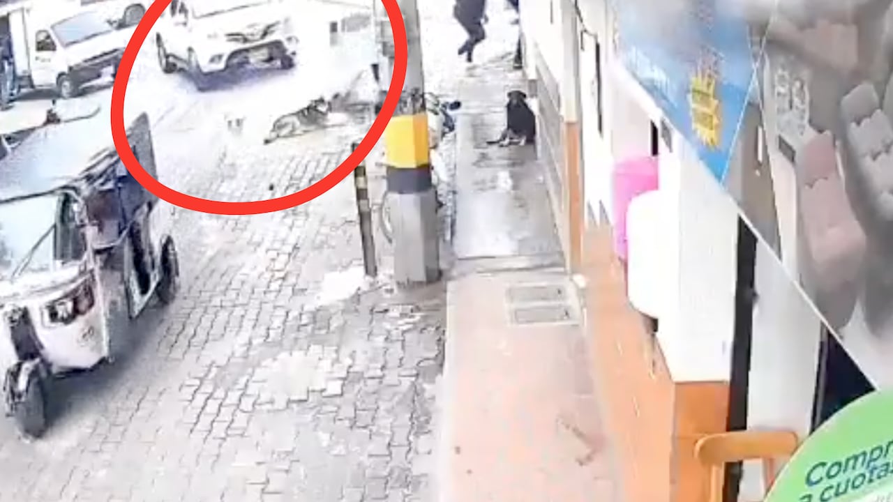 Perri murió tras ser atropellado por conductor en La Unión, Antioquia, el pasado sábado 3 de octubre de 2026.