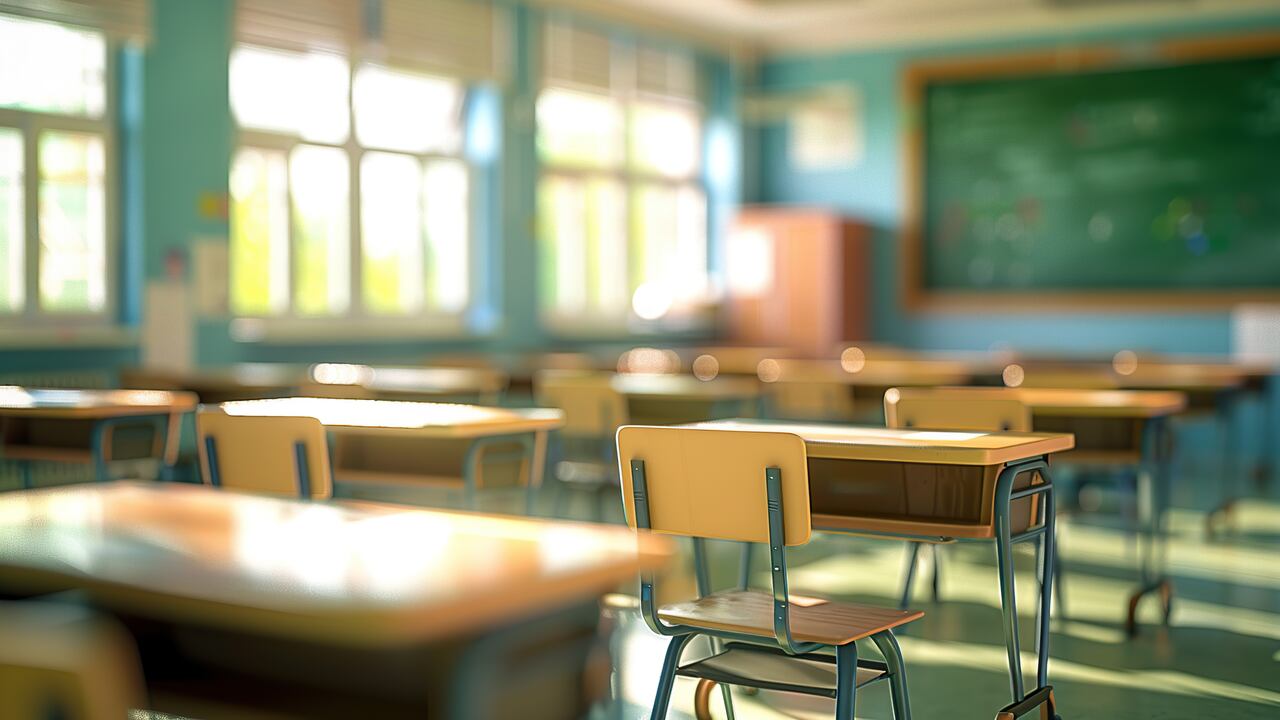 Educación y natalidad