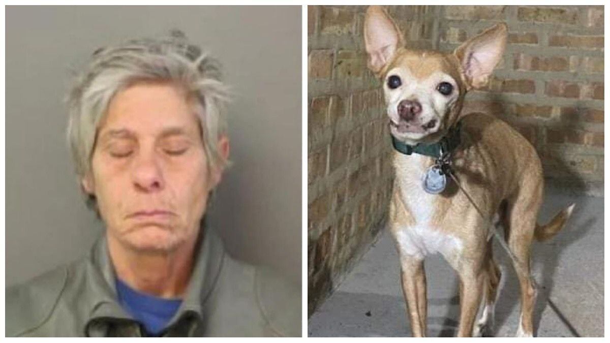 Jeanette Olivo y Bebé