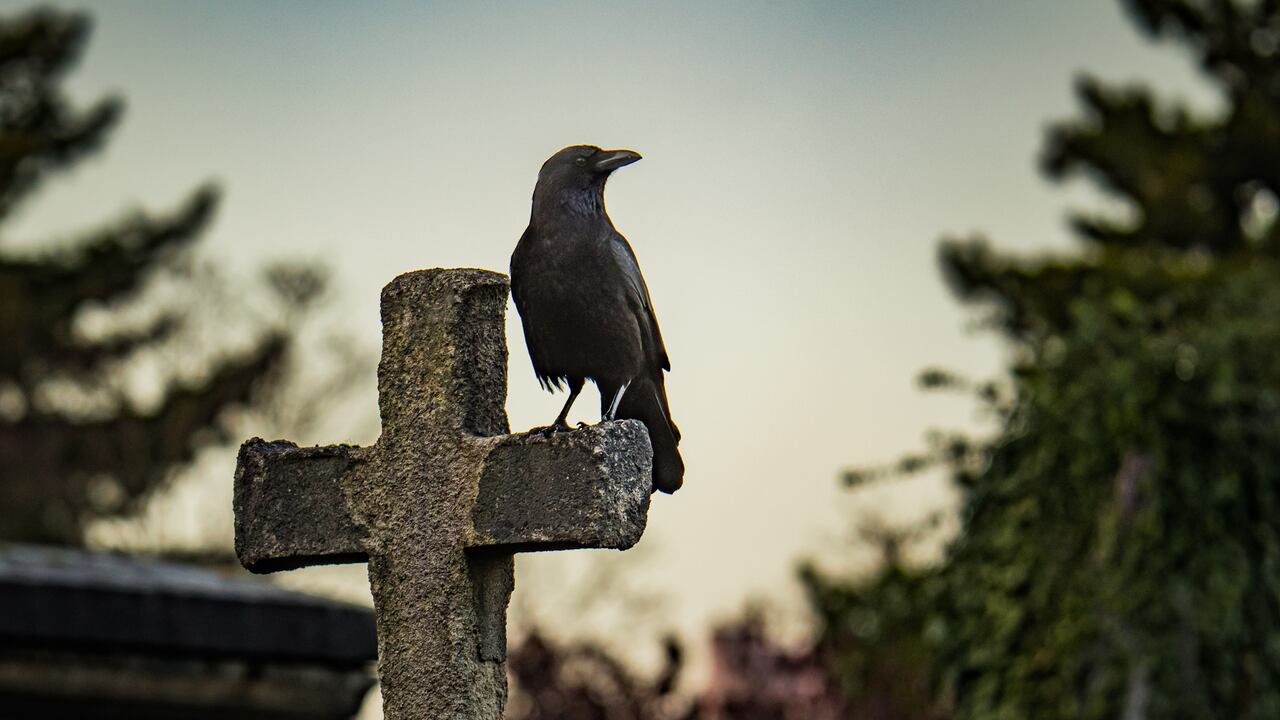 Según la IA, existe un escenario tras la muerte que representa la máxima expresión del castigo.