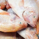 La Secretaría recomienda abstenerse de comprar pescados y derivados de la pesca en ventas ambulantes.