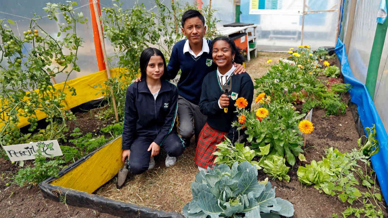 Leidy, Cristian y Laura hacen parte de la Institución Educativa La Palestina. Foto: León Darío Peláez