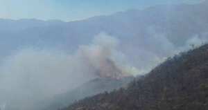 Incendios forestales, tragedia que no da tregua