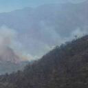 Incendios forestales, tragedia que no da tregua