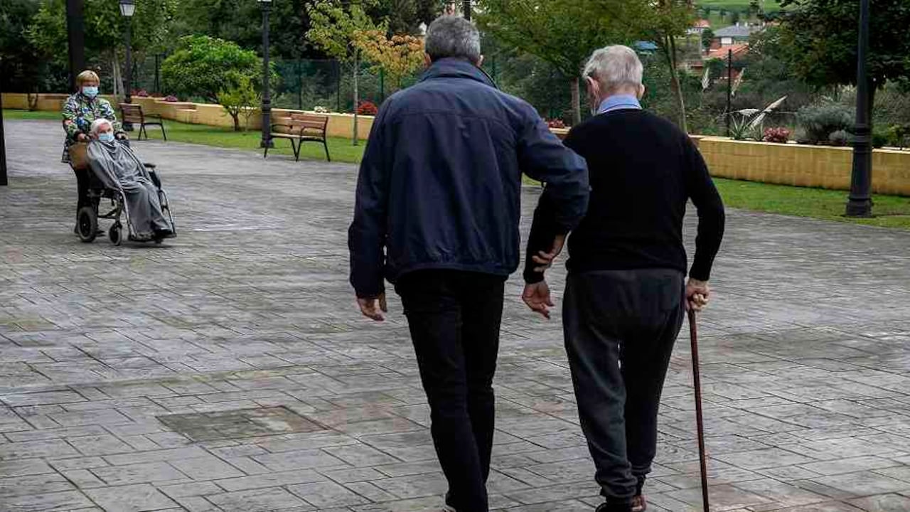 Teniendo en cuenta los cambios en el organismo que vienen con la edad, vale la pena identificar cuáles son las vitaminas que resultan imprescindibles a partir de los 60 años.