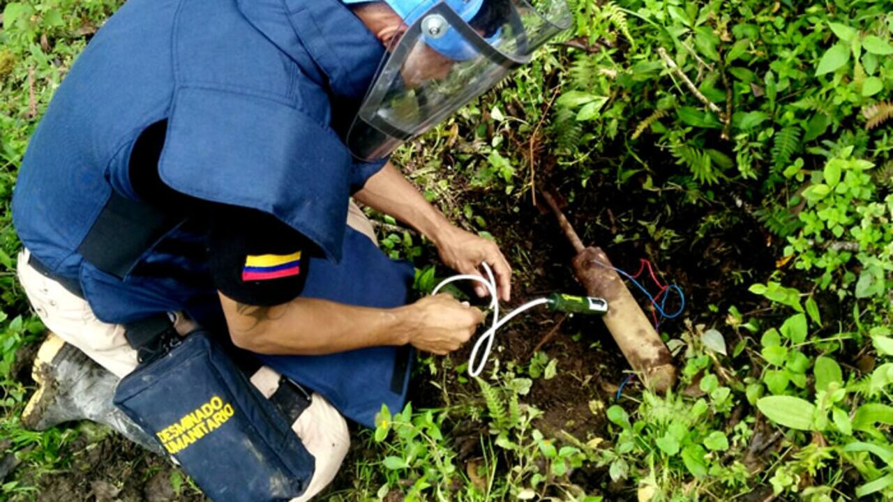 Durante el primer trimestre de 2022 se registraron 73 víctimas de minas antipersona en Colombia.
