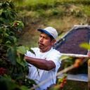 Esto es lo que dice el artículo que ha generado gran debate.