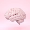 Seguir una dieta insana puede afectar la salud en general, entre ello la capacidad de concentración o de cognición.