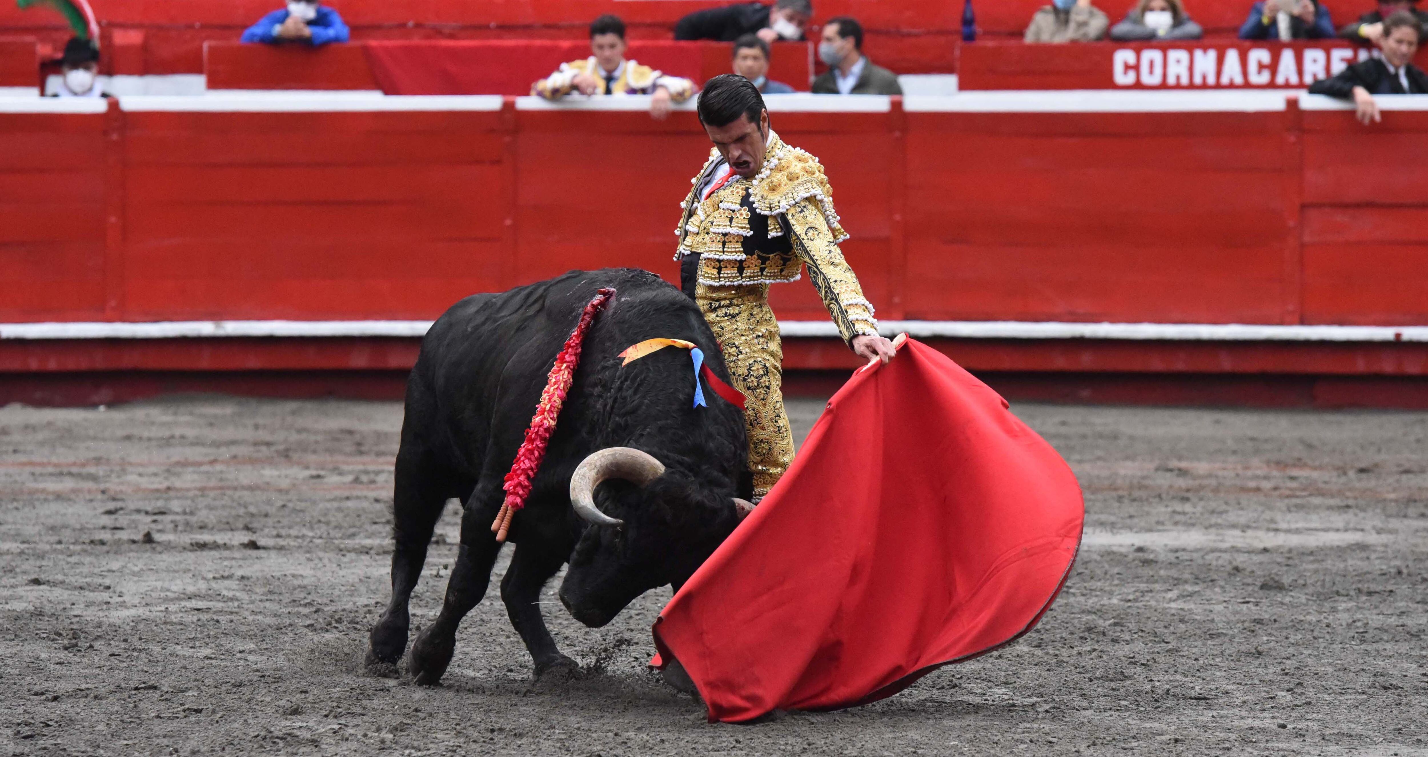 Emilio de Justo y 'Despistado'. El torero español abrió la puerta grande de la plaza de toros de Manizales tras indultar al toro de Las Ventas. 6 de enero de 2022