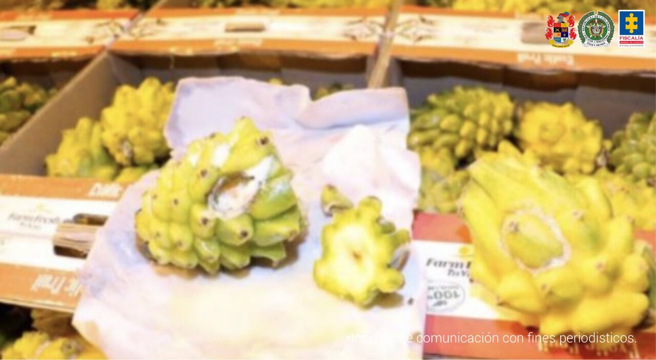 La Fiscalía capturó a alias Gavilán, supuesto cabecilla de una organización criminal que traficaba con droga escondida en frutas.