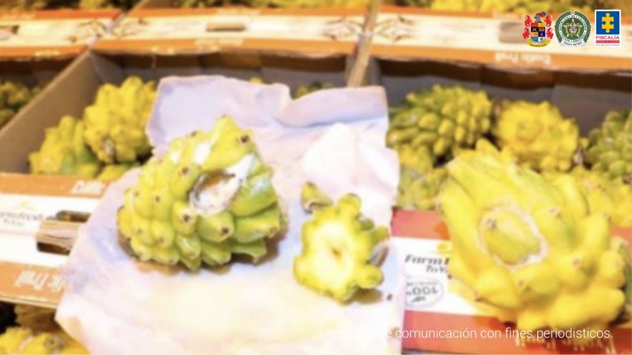 La Fiscalía capturó a alias Gavilán, supuesto cabecilla de una organización criminal que traficaba con droga escondida en frutas.