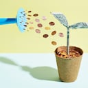 Pese a leves desplomes en los últimos días, el dólar en Colombia sigue en máximos históricos.