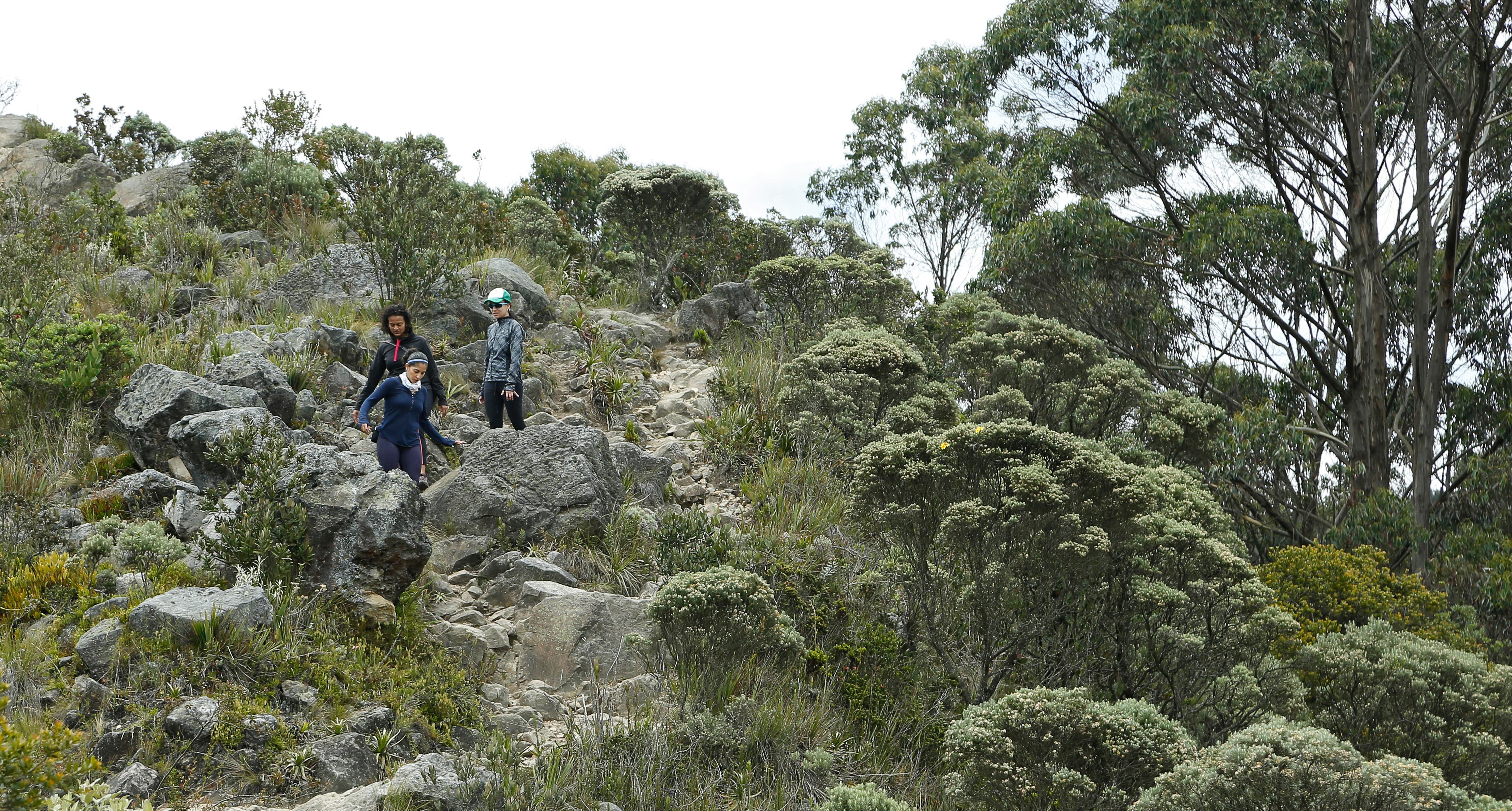 El camino que lleva al páramo de Las Moyas es desde hace cinco meses un punto de encuentro semanal de grupos de 60 personas que lo recorren buscando ejercitarse y disfrutar de la naturaleza en medio de la localidad de Chapinero.
