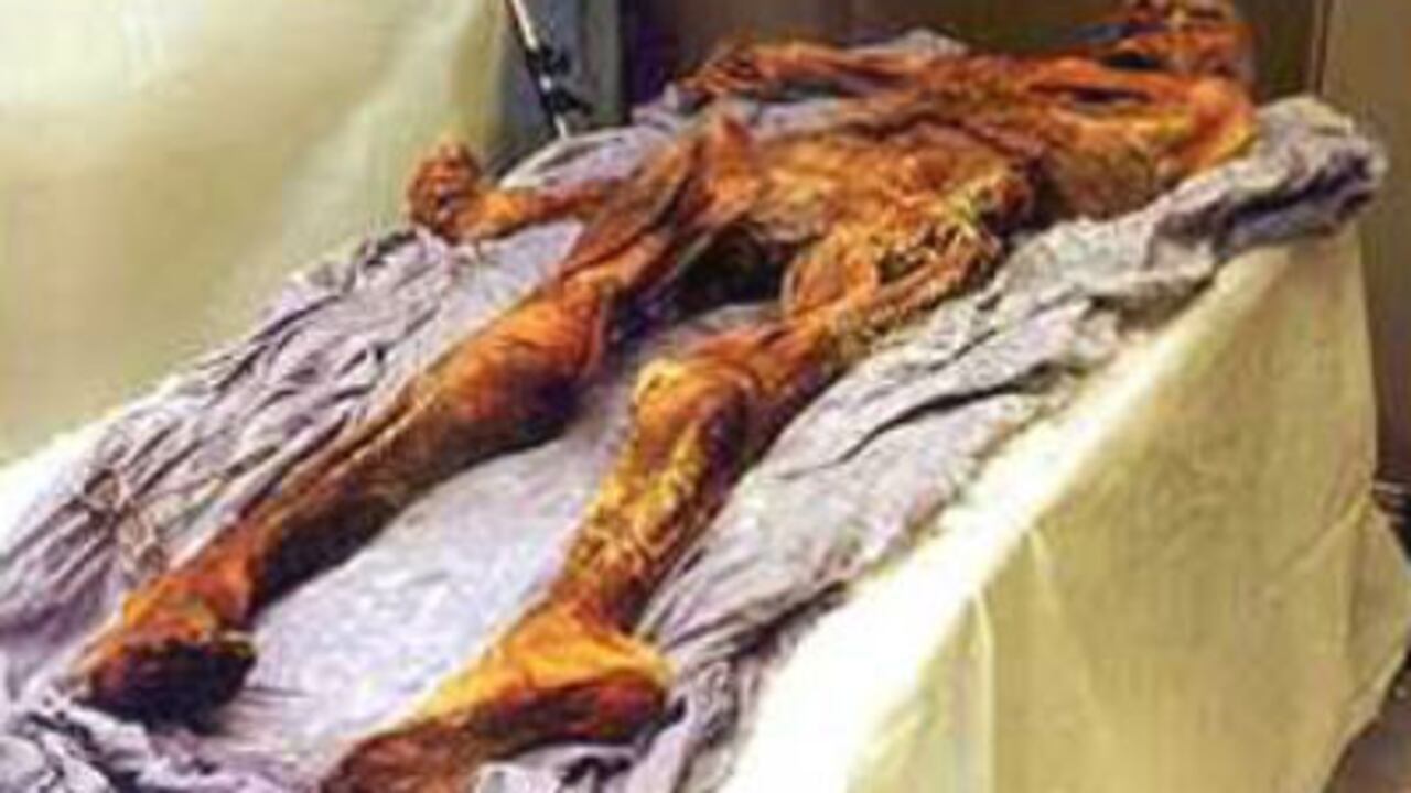 El estudio de los glóbulos rojos confirma que murió alrededor de los 46 años.