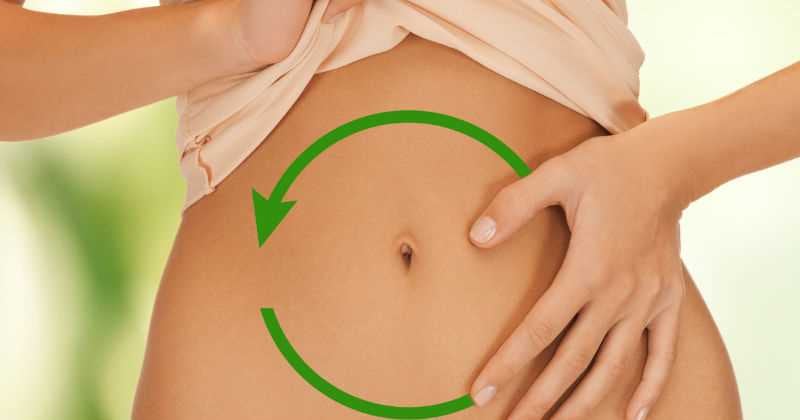 Una flora intestinal sana favorece la digestión y protege el aparato digestivo de bacterias dañinas.