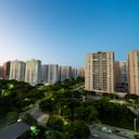 Edificios y árboles en Barranquilla, en medio de la apuesta del Distrito por incorporar más vegetación y sombra para crear espacios públicos más frescos y enfrentar las altas temperaturas.
