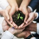 El desarrollo de negocios sostenibles será clave en la recuperación de la región. Foto: Archivo Semana