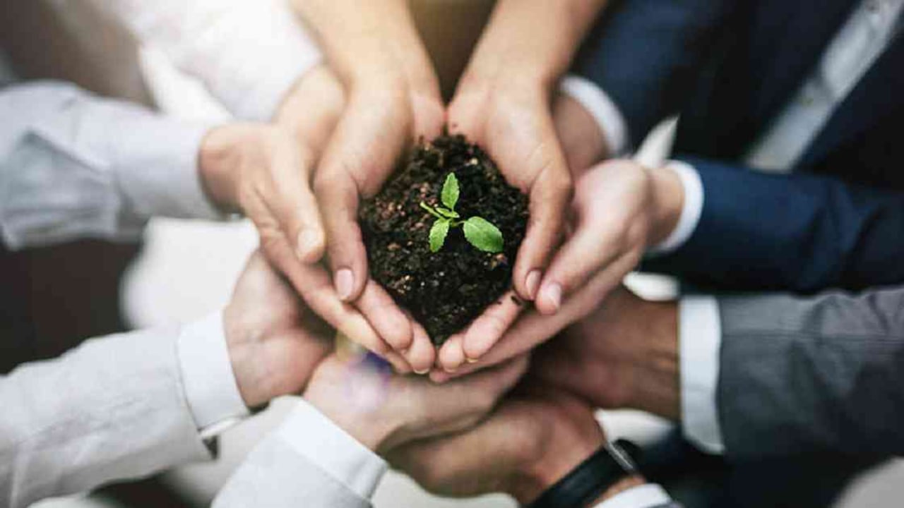 El desarrollo de negocios sostenibles será clave en la protección de la biodiversidad en Colombia y el mundo. Foto: Archivo Semana.