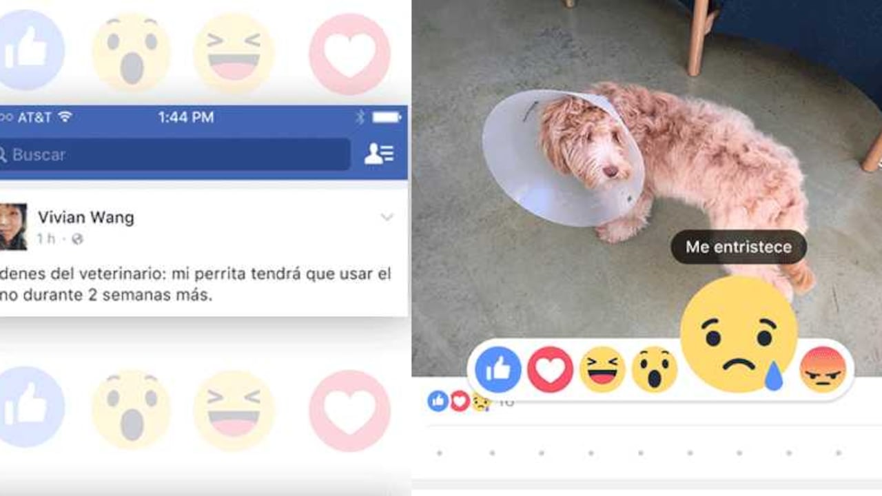 Colombia será el segundo país en América Latina donde se probará la herramienta Reacciones.