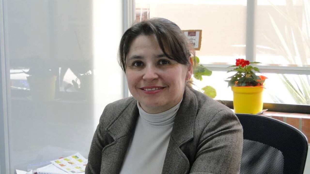 La economista, María Constanza Torres de la Escuela Colombiana de Ingeniería