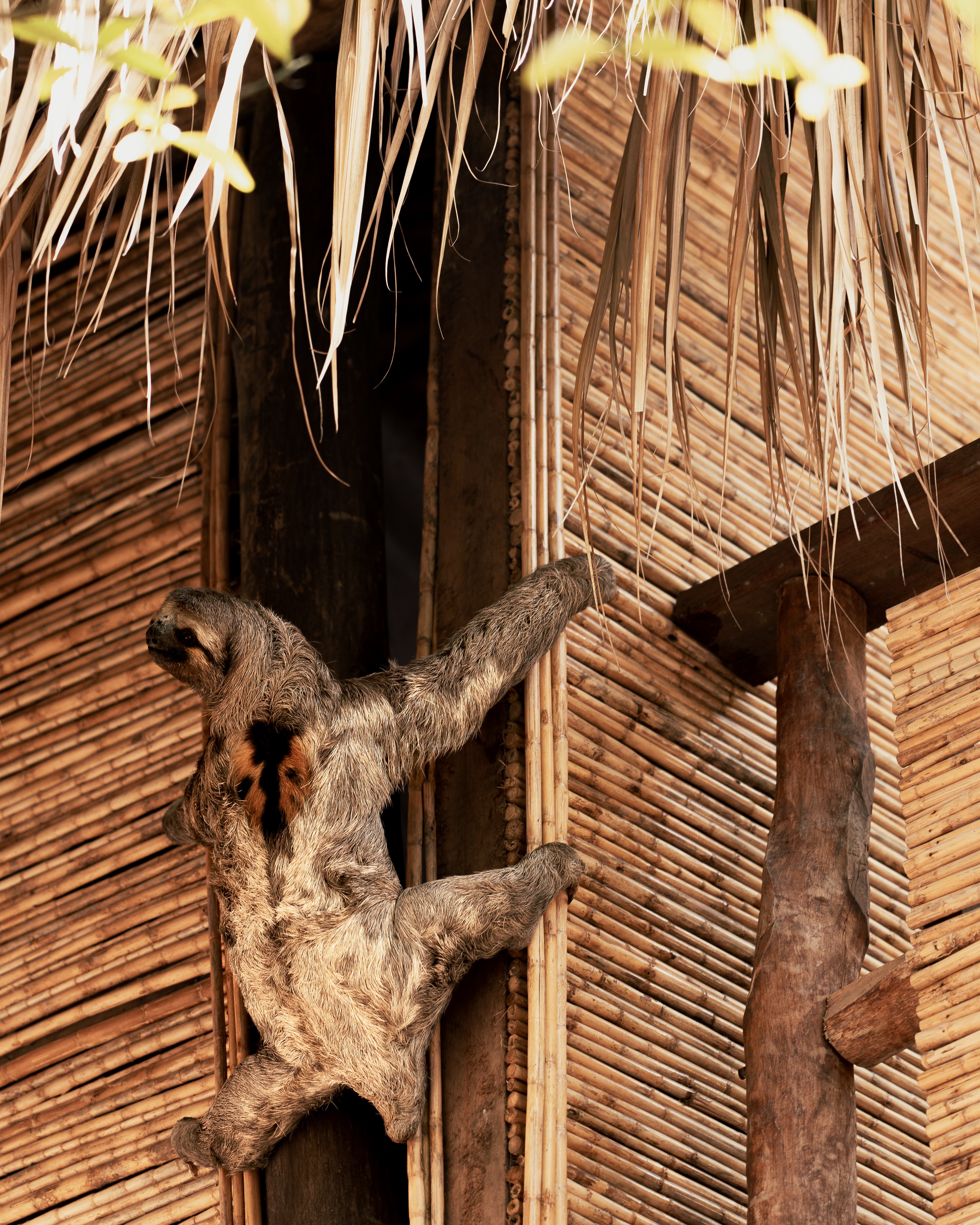 Cortesía La Playita