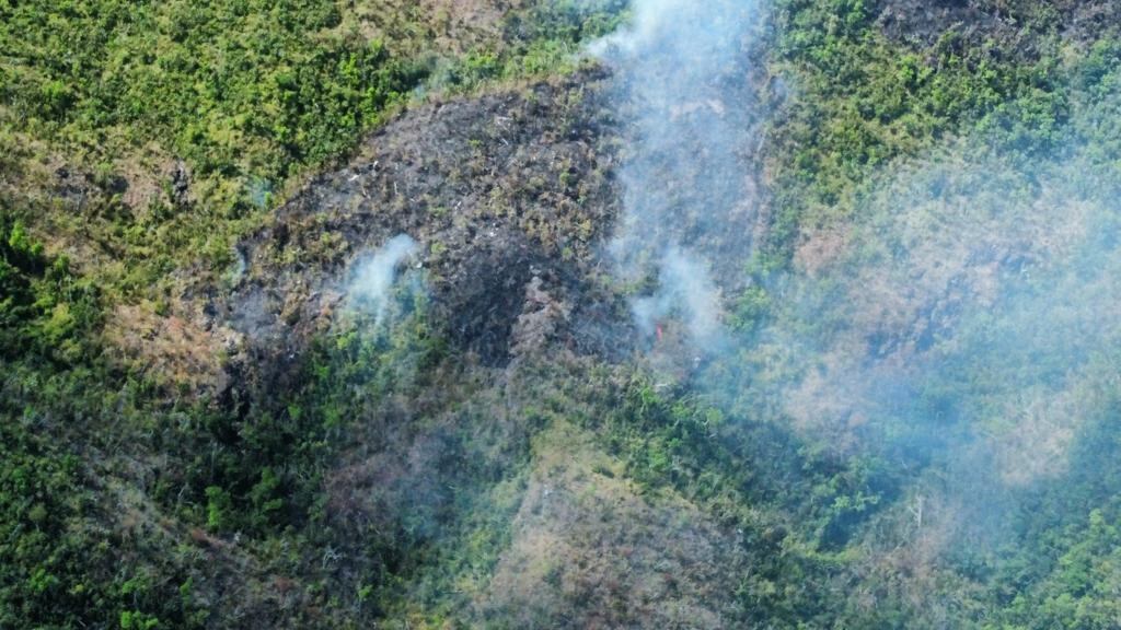 Incendio Forestal en Providencia