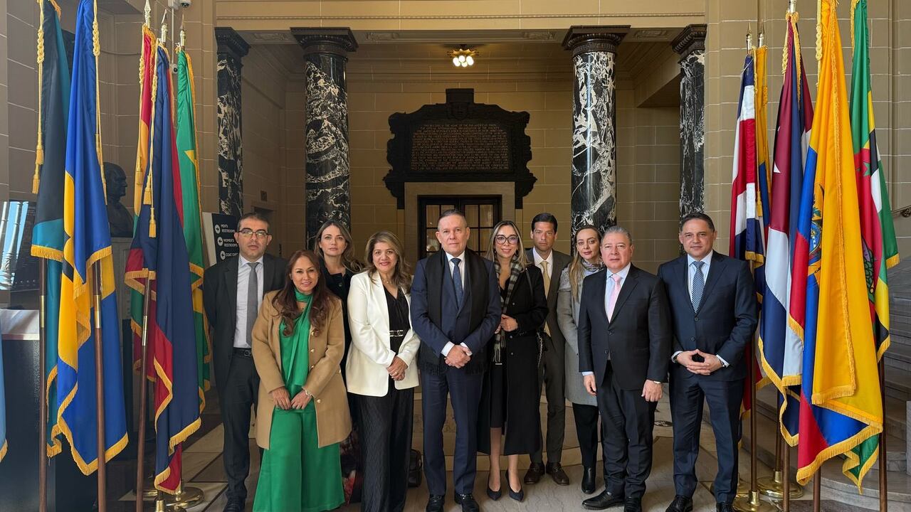 Congresistas se quejaron en la CIDH por hostigamiento de Petro.