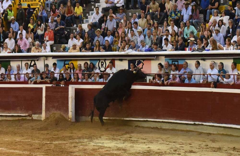 Adriano (Salento) saltó al callejón. Cali, 30 de diciembre de 2017