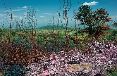 Lourdes Grobet (México) http://fotomuseo.org/fotografica_2013 