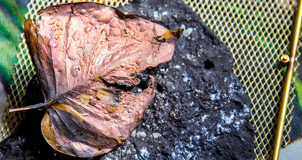  Julio de expresiones artísticas_10