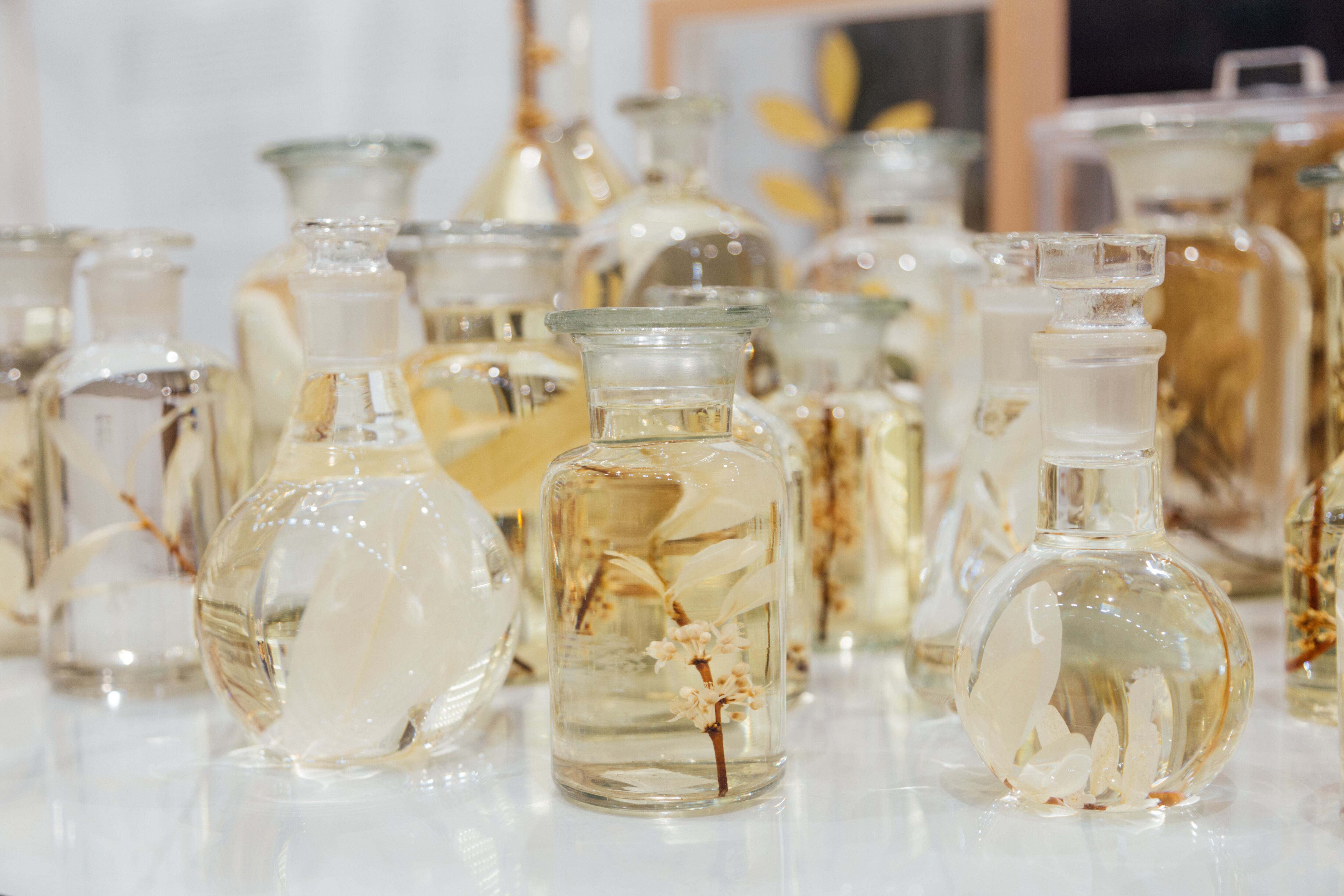 Con una colección que supera los 10 mil herbarios y piezas de arte, este proyecto tardó 10 años en ver la luz. Su objetivo: hacer una radiografía de la coca.