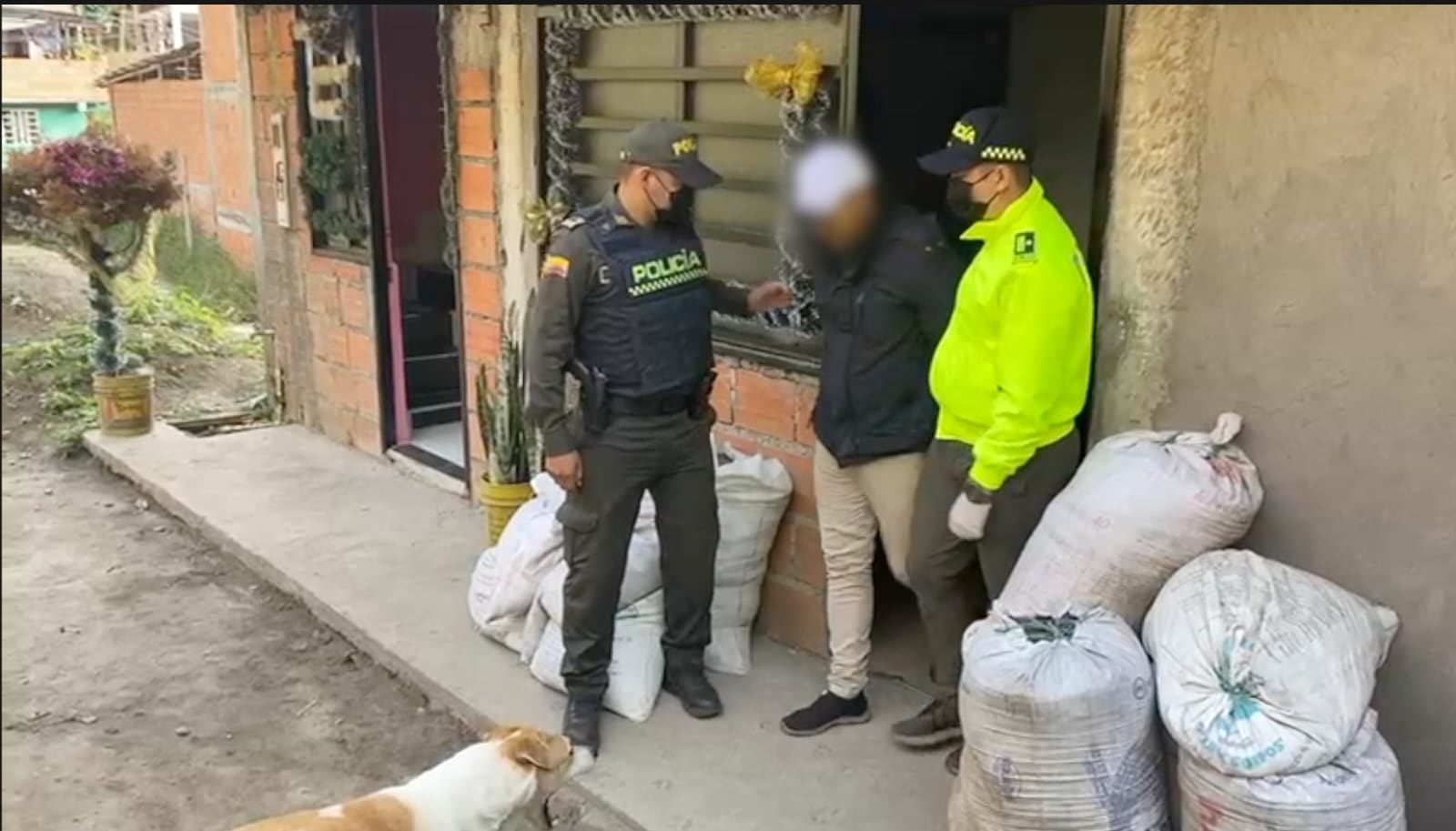 Otra de las capturas realizadas por las autoridades.