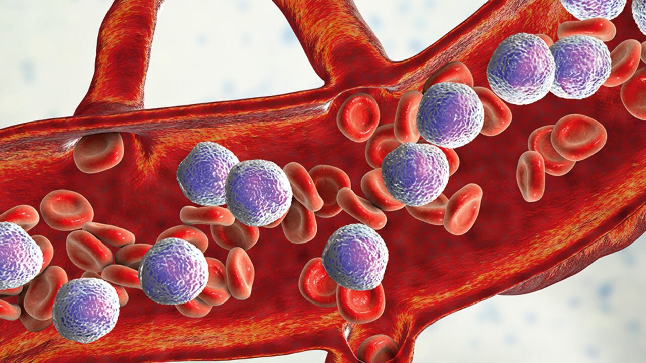 Paciente en Estados Unidos se curó por un cordón umbilical.