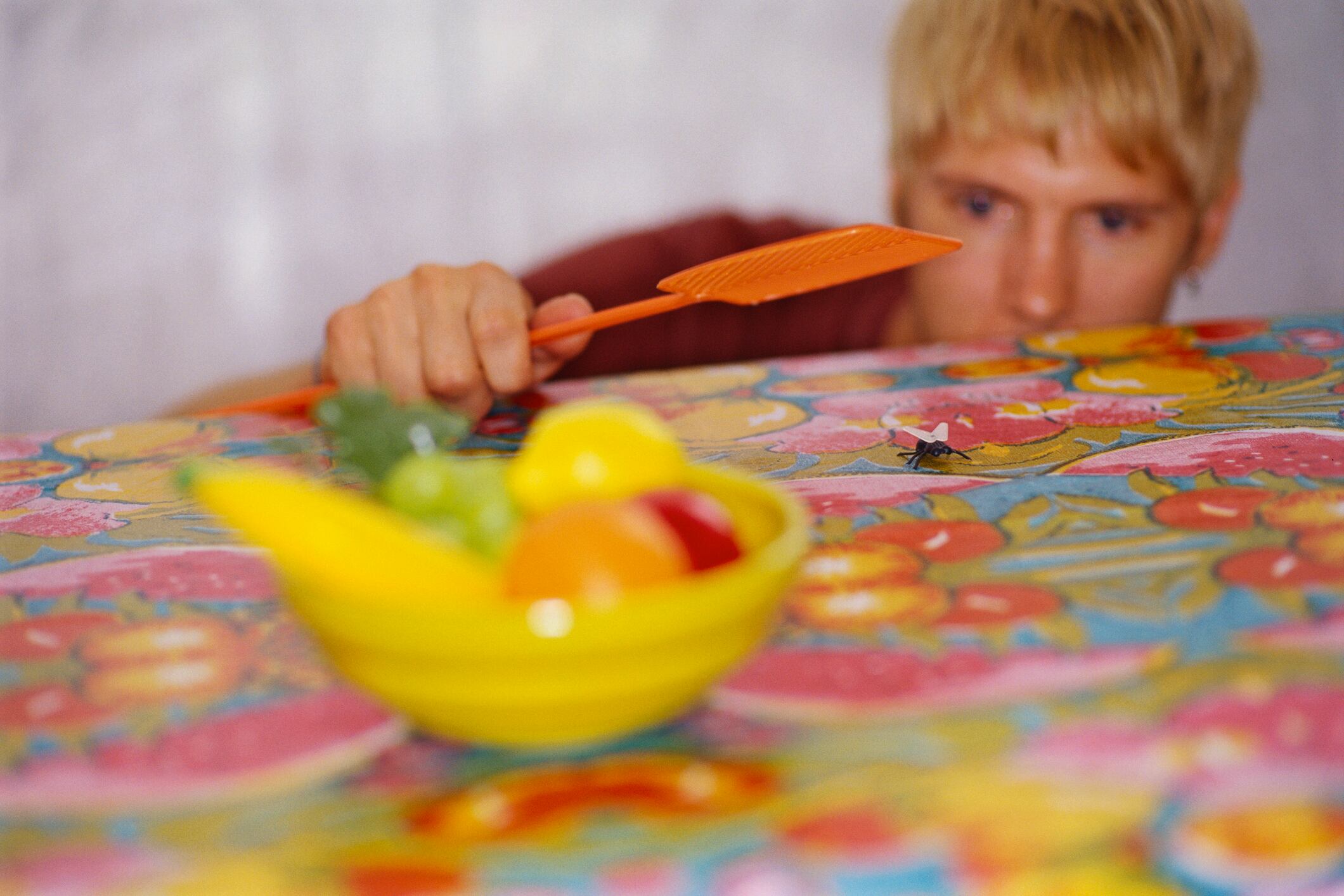 Di adiós a los mosquitos en la cocina con este increíble truco casero.