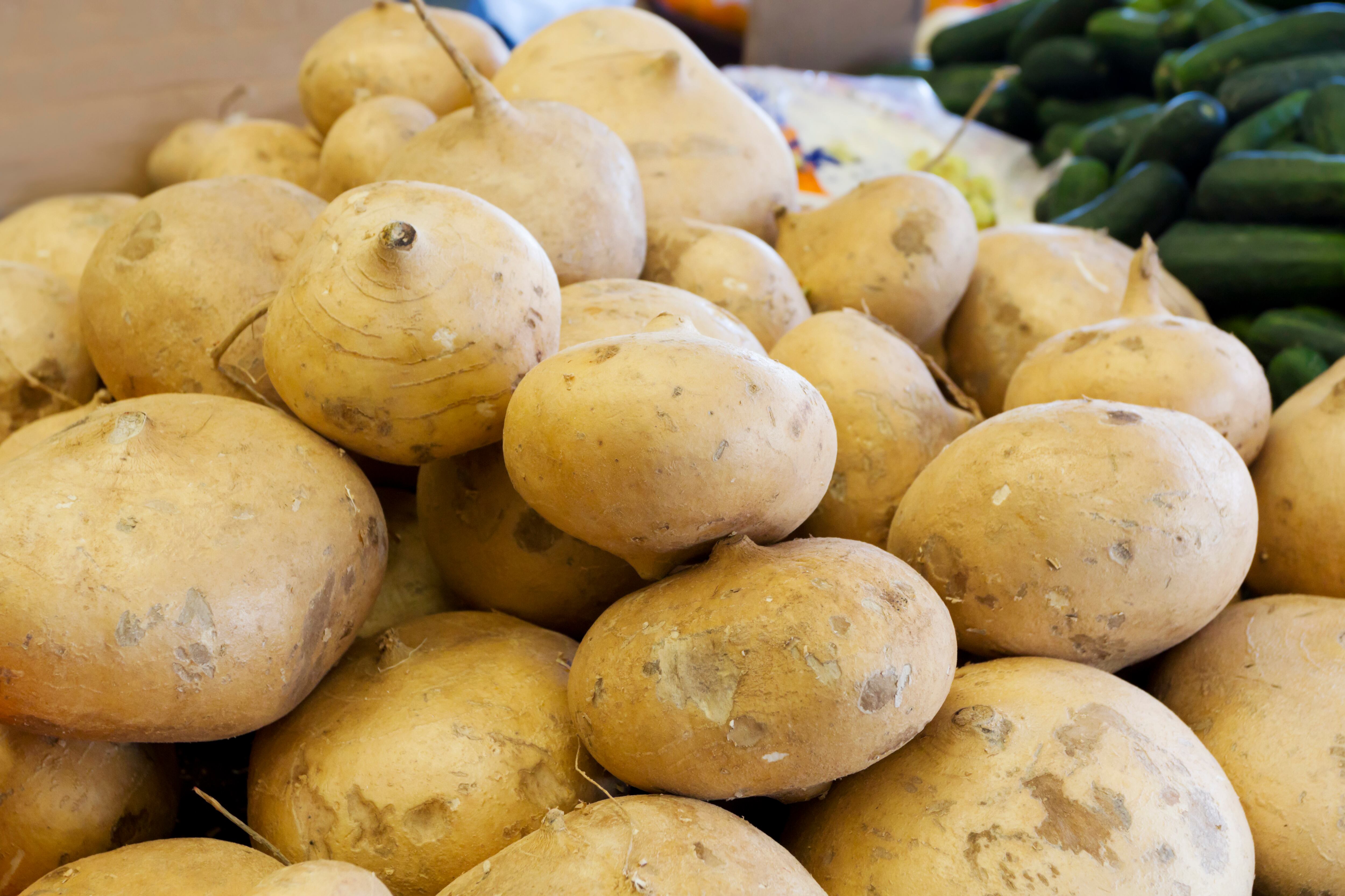 La jícama puede procurar el bienestar de la salud ósea.