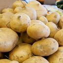 La jícama puede procurar el bienestar de la salud ósea.