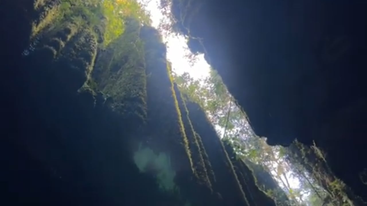 Bosques de Pandora, las maravillas del mundo subterráneo en Santander