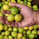 Conozca si el jugo de limón es apropiado para el acné