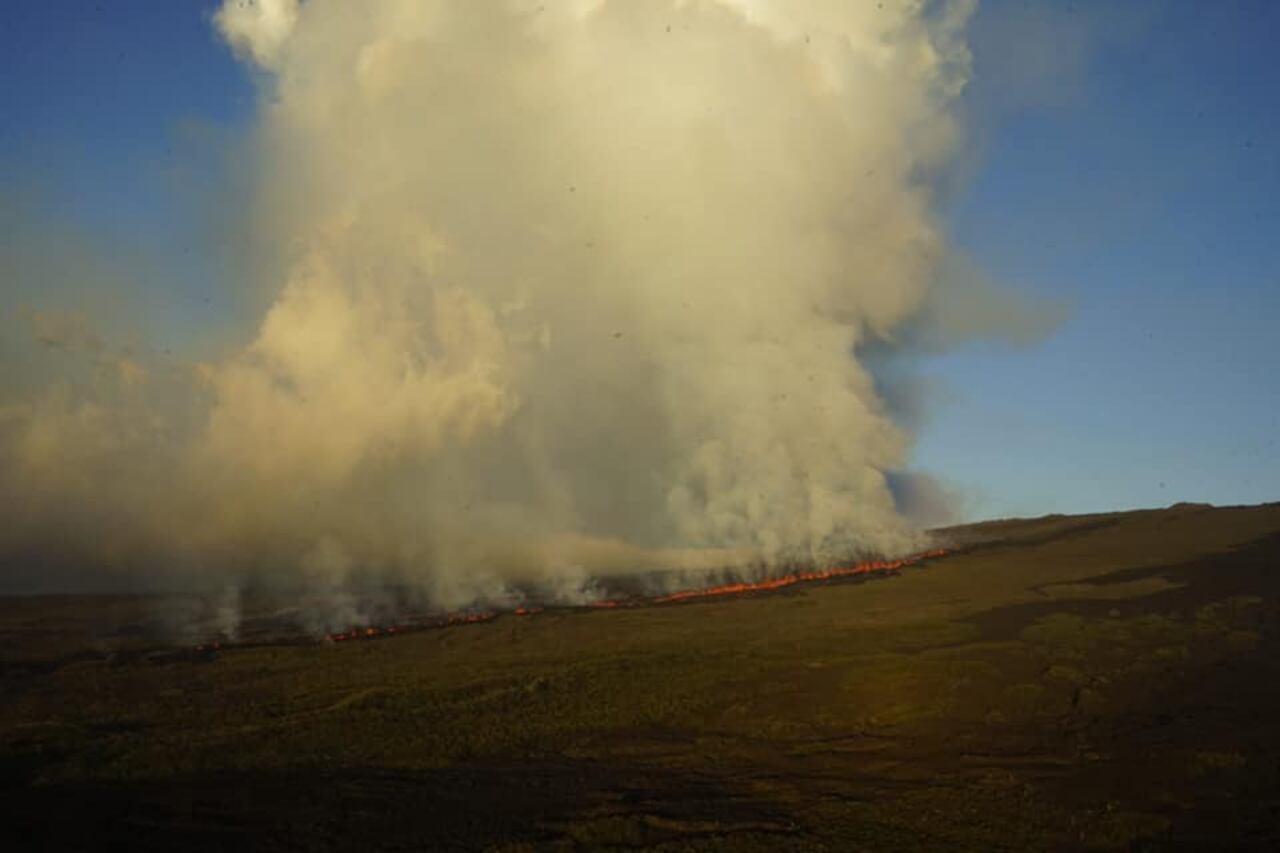 Ocho científicos que se encontraban en Wolf ejecutando un trabajo de campo con las iguanas rosadas fueron movilizados a otra área por "precaución".