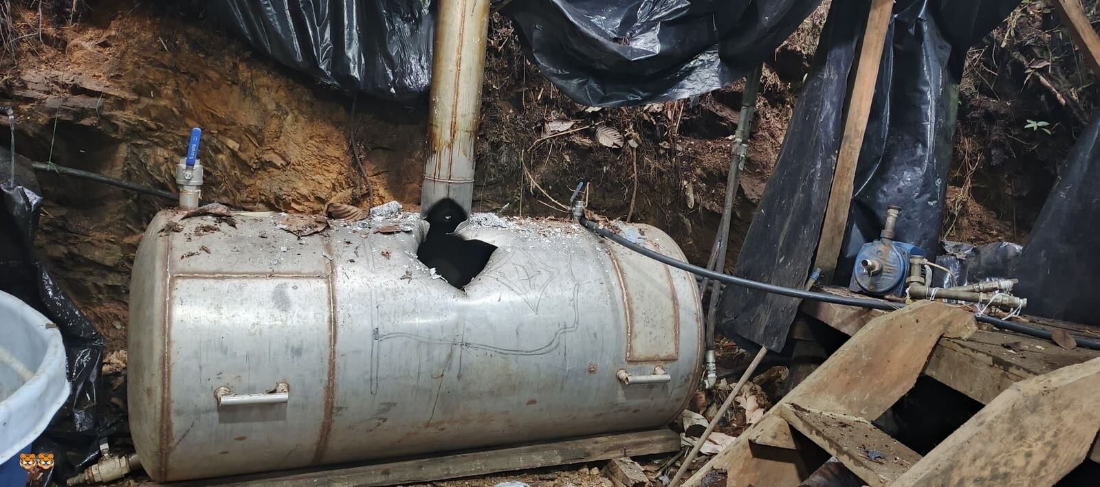 Elementos decomisados en la operación militar.