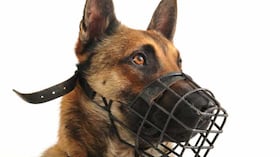 Si su perro requiere el uso de bozal, debe elegir uno que le permita respirar, jadear, beber agua y abrir la boca con comodidad.