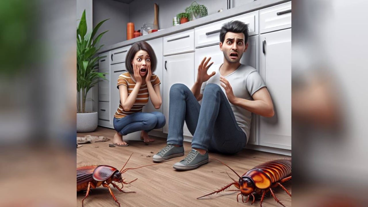 Las cucarachas se pueden convertir en un serio dolor de cabeza.