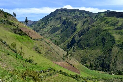 La investigación se centró en los Andes del norte, en una región de alta biodiversidad.