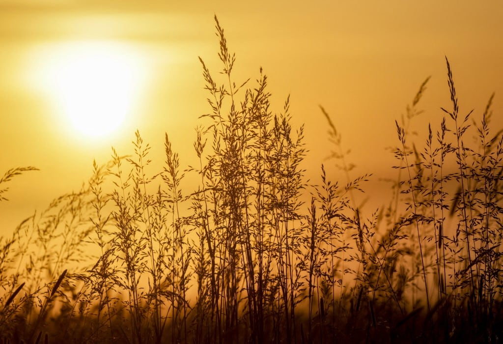 En su última actualización, la OMM prevé un "episodio al menos moderado, e incluso fuerte" de este fenómeno climático de consecuencias planetarias.