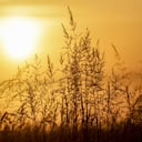 En su última actualización, la OMM prevé un "episodio al menos moderado, e incluso fuerte" de este fenómeno climático de consecuencias planetarias.
