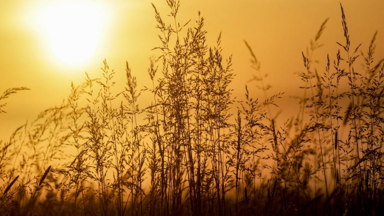 Este fenómeno meteorológico natural provocará un aumento de las temperaturas en gran parte del planeta.