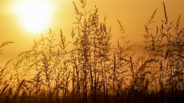 En su última actualización, la OMM prevé un "episodio al menos moderado, e incluso fuerte" de este fenómeno climático de consecuencias planetarias.